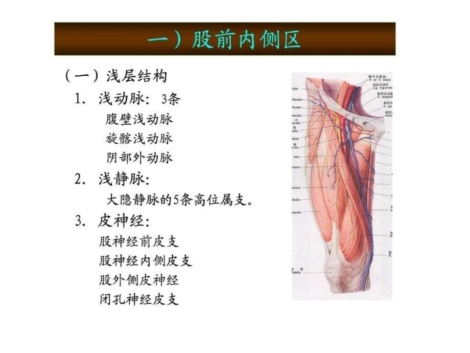 起搏器医师必看,穿刺医师必看_第5页