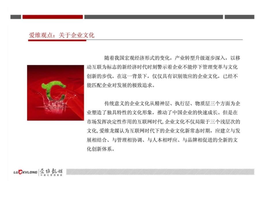 某大型发电集团企业文化建设咨询项目_第3页