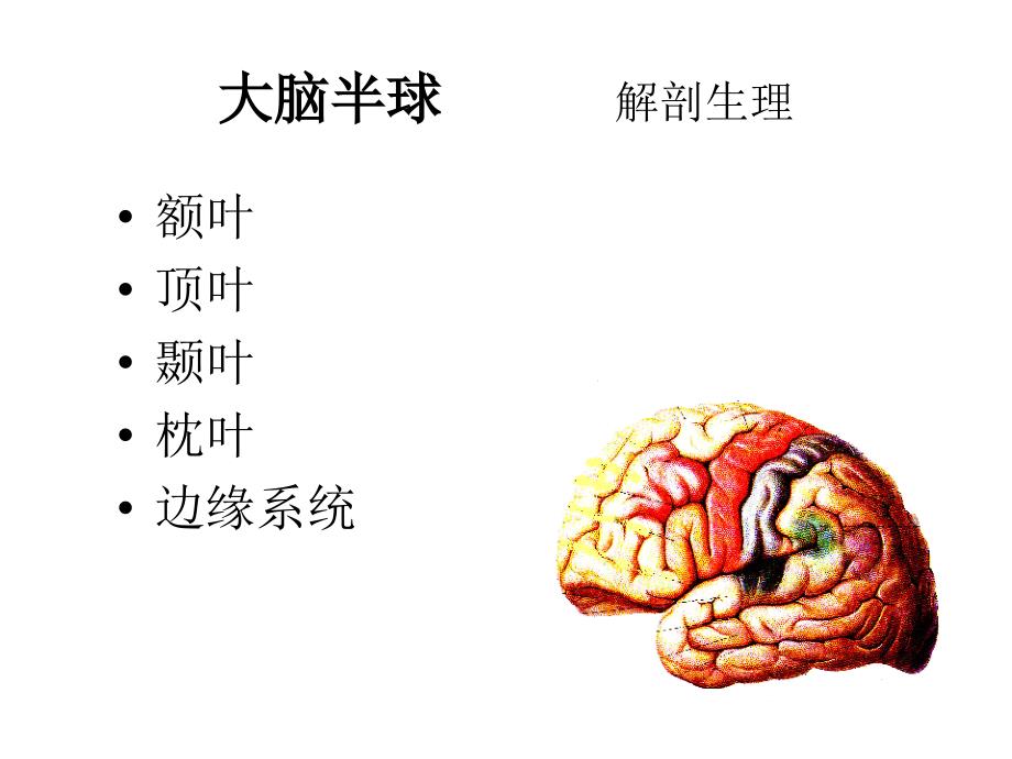 神经病症状学 7新大脑_第3页