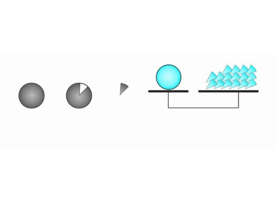 八年级科学元素符号表示的量-1_第3页