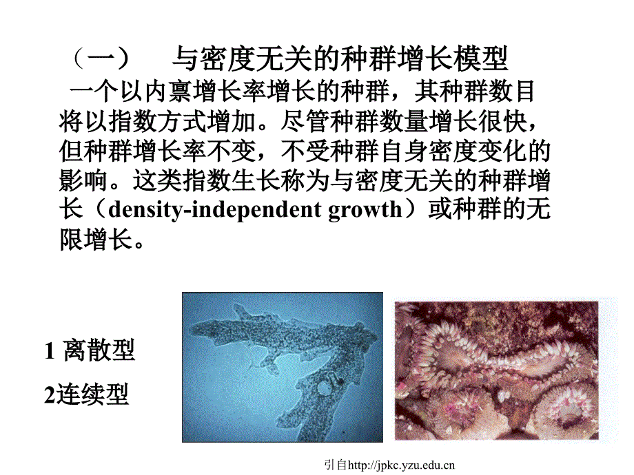 种群的增长模型_第2页