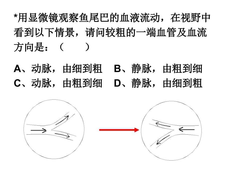 生物中考复习资料专题.图课件人教版(1)_第5页