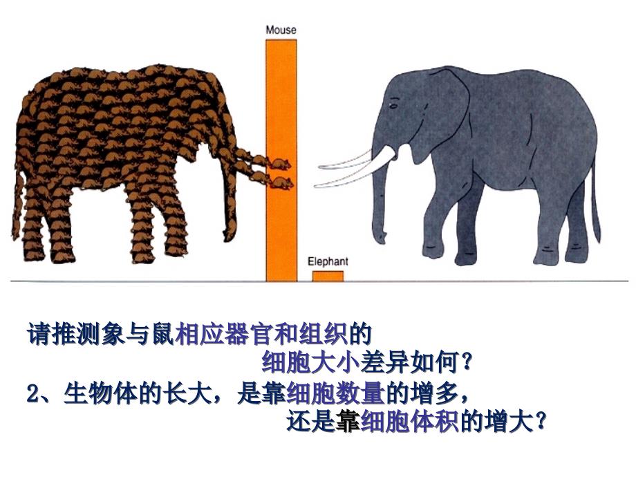 人教版高中生物必修一第六章第一节课件_第2页