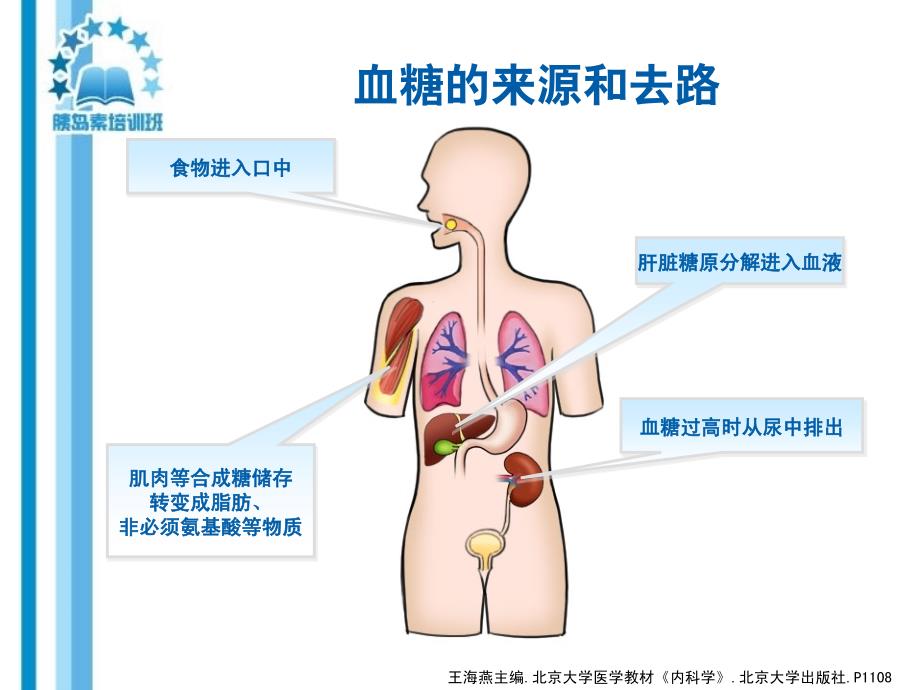 临床医学糖尿病及其治疗策略_第4页