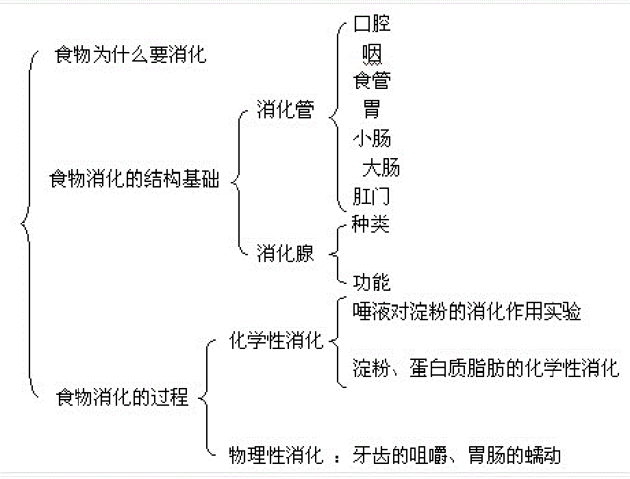 食品营养学食物消化及吸收_第2页