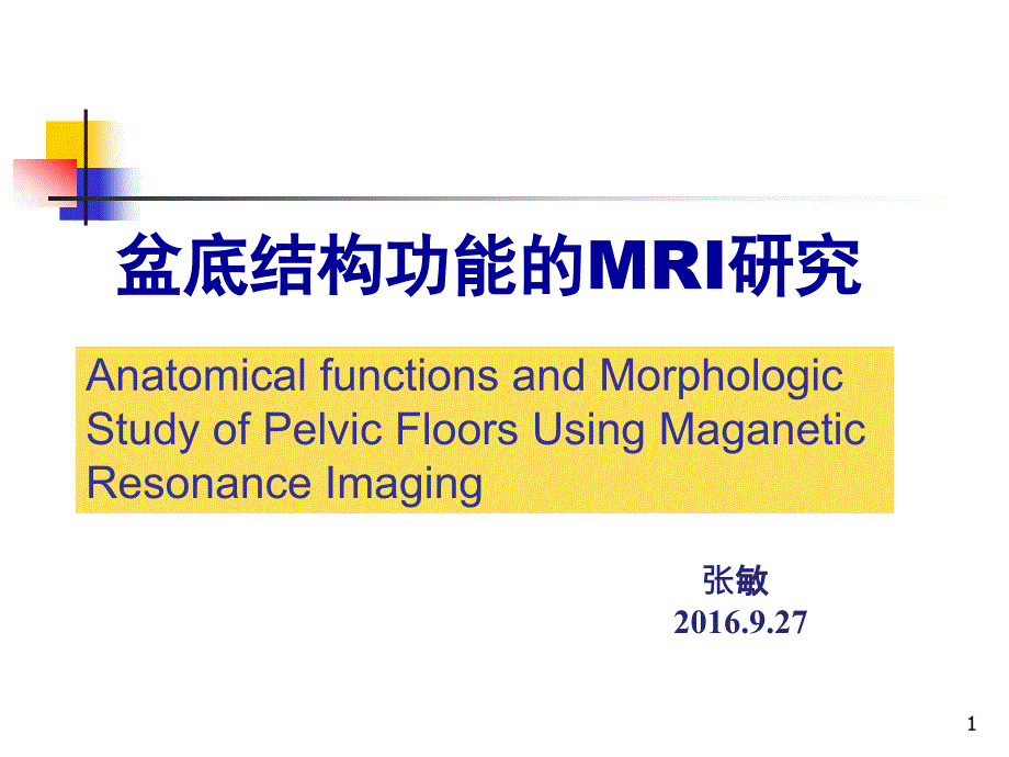 盆腔结构功能mri研究_第1页