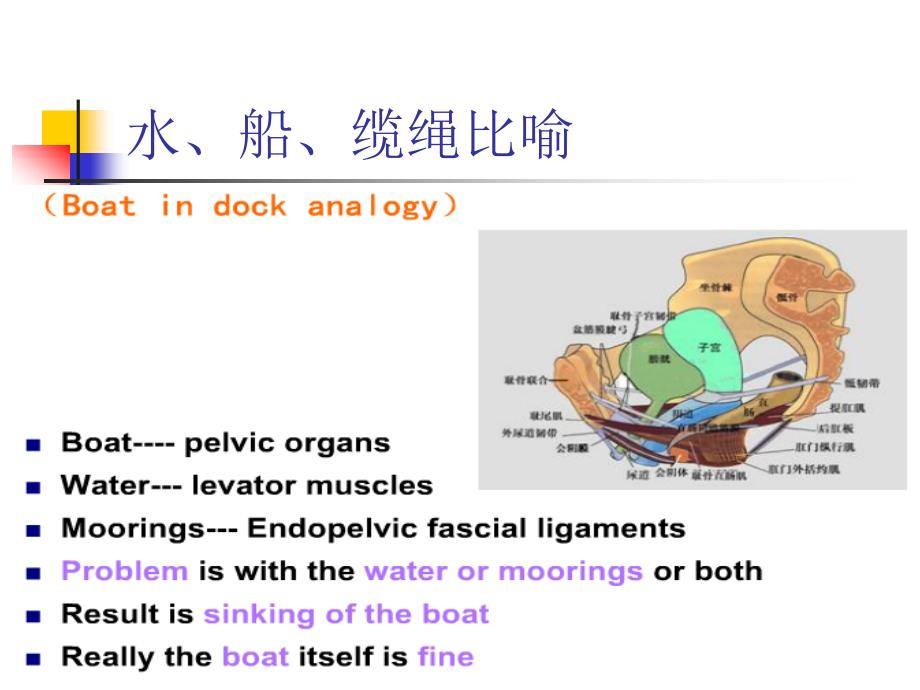 盆腔结构功能mri研究_第4页