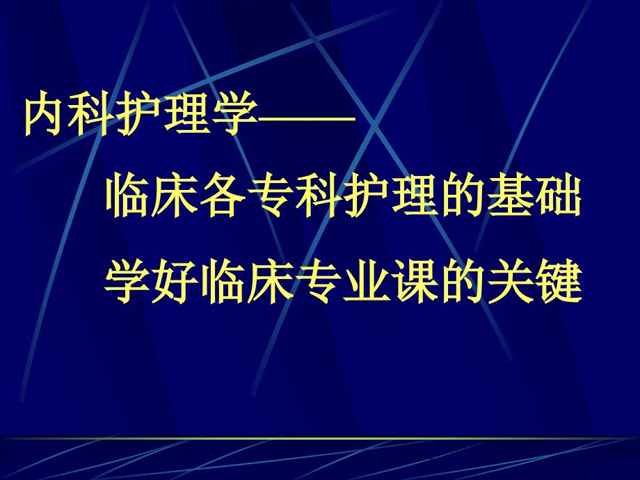 《内科护理学绪论》ppt课件_第2页