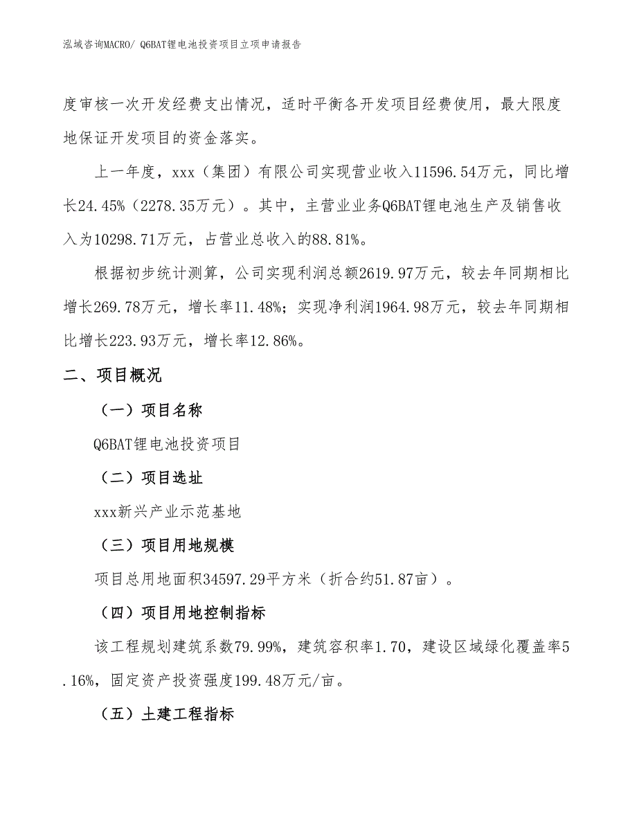 Q6BAT锂电池投资项目立项申请报告_第2页