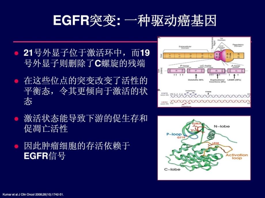 egfr-tki在非小细胞肺癌的热点问题（姜丽岩）_第2页