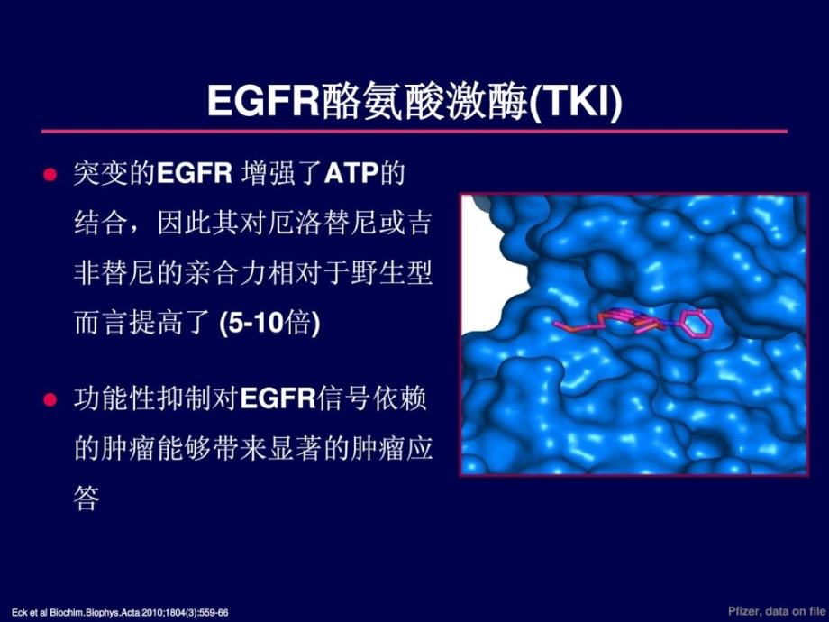 egfr-tki在非小细胞肺癌的热点问题（姜丽岩）_第3页