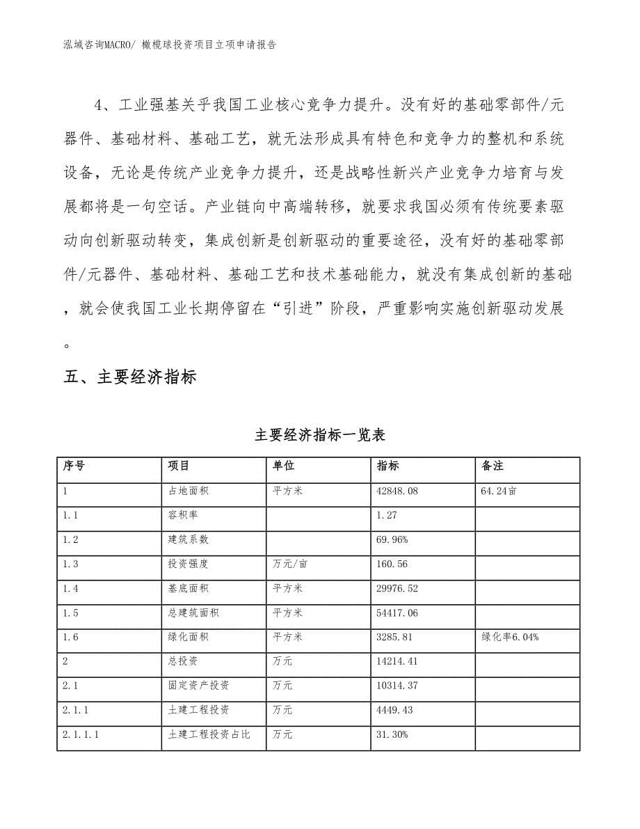 橄榄球投资项目立项申请报告_第5页