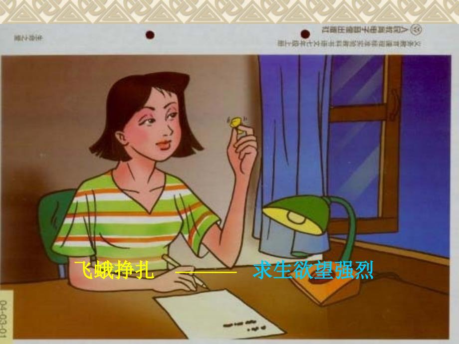 【生命_生命】ppt课件_第4页