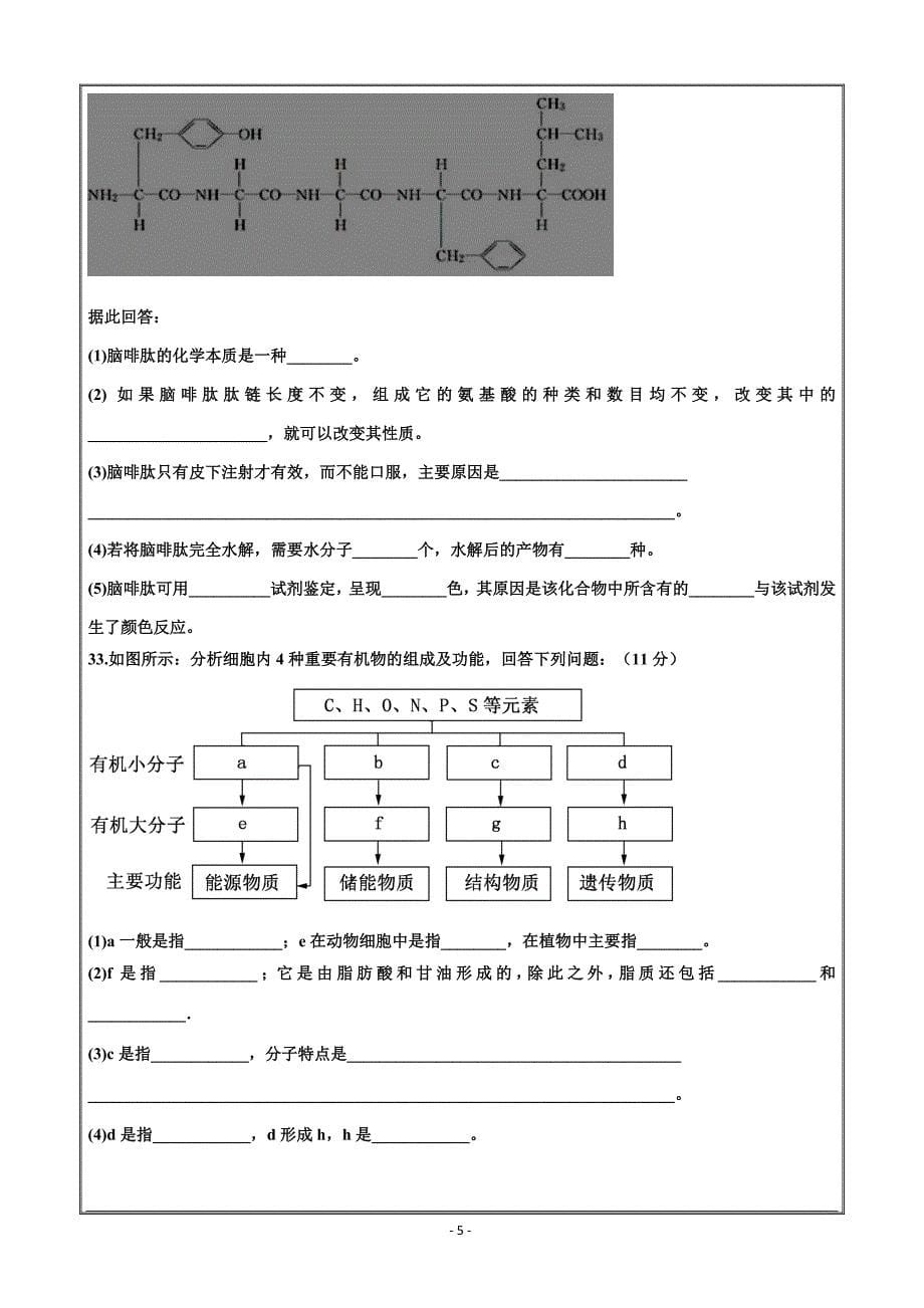 山东省泰安四中2018-2019学年高一上学期期中考试生物---精校Word版含答案_第5页