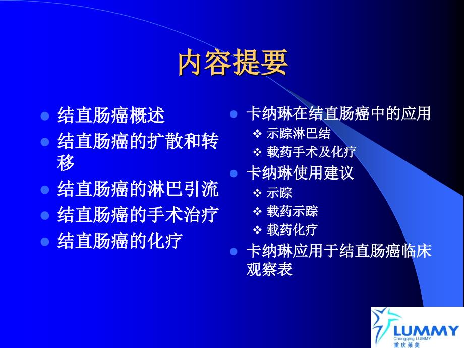 临床医学卡纳琳纳米碳混悬注射液幻灯-结直肠癌_第2页