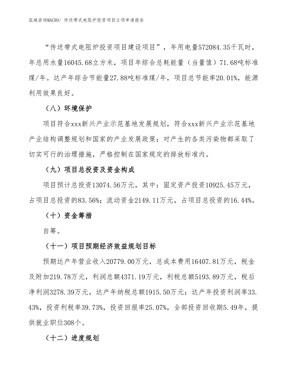 传送带式电阻炉投资项目立项申请报告_第3页