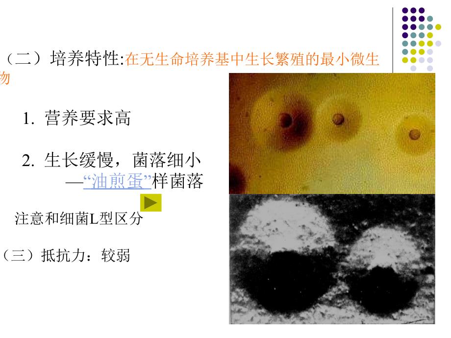 [医学]第23章支原体_第4页