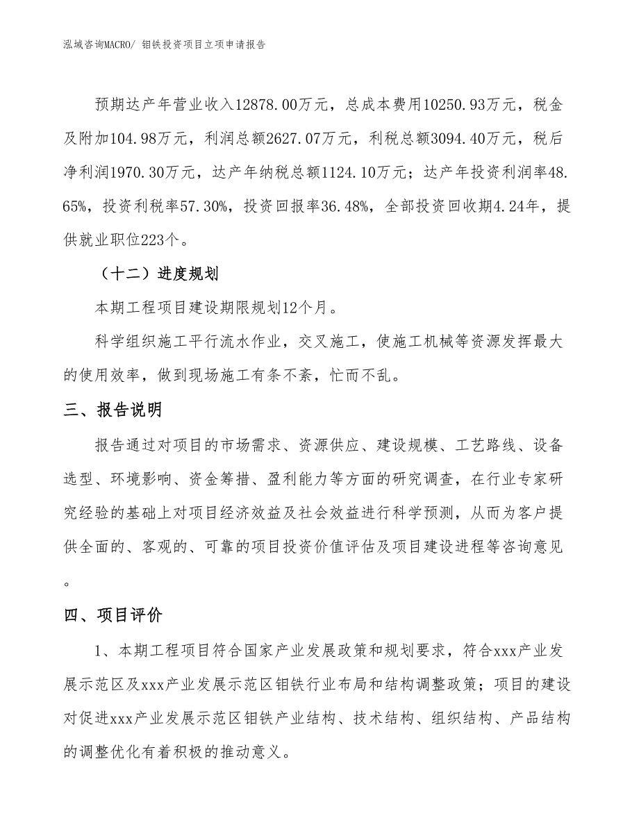 钼铁投资项目立项申请报告_第4页