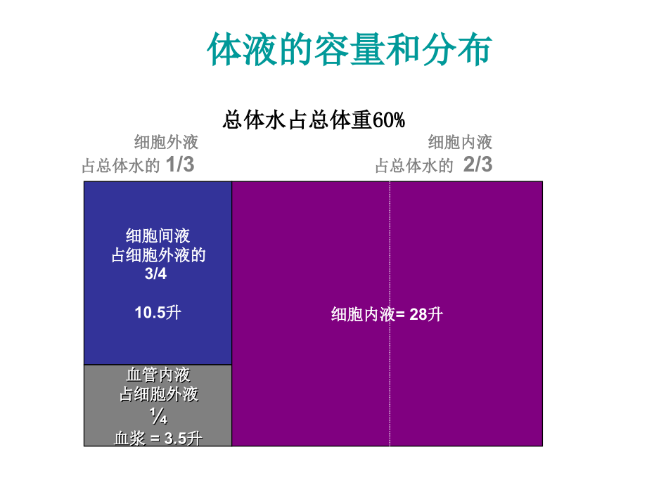 水平衡及血清钠钾氯测定_第4页