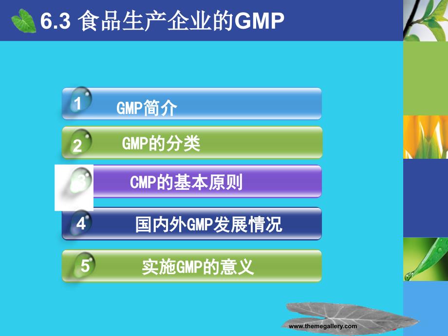 食品生产企业的gmp_第2页