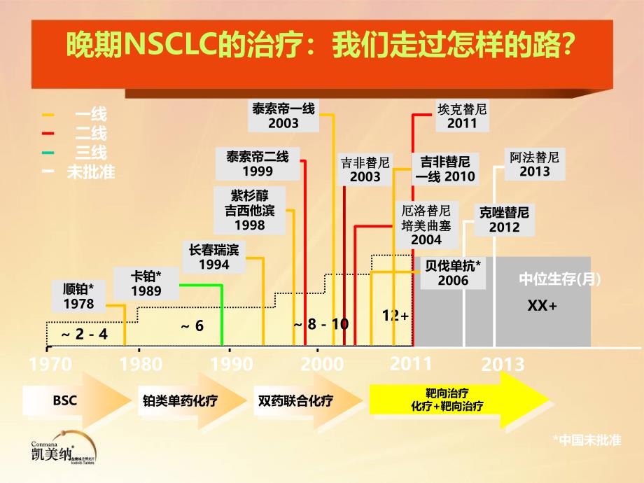 egfr-tki在晚期非小细胞肺癌治疗策略_第4页