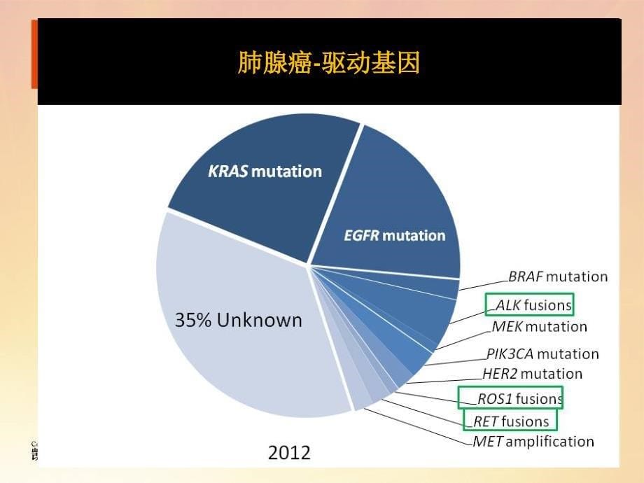 egfr-tki在晚期非小细胞肺癌治疗策略_第5页