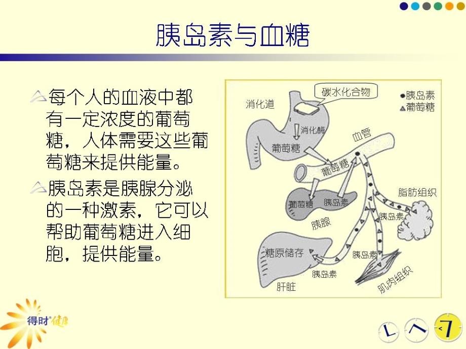 临床医学认识糖尿病_第4页