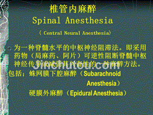 临床医学椎管麻醉