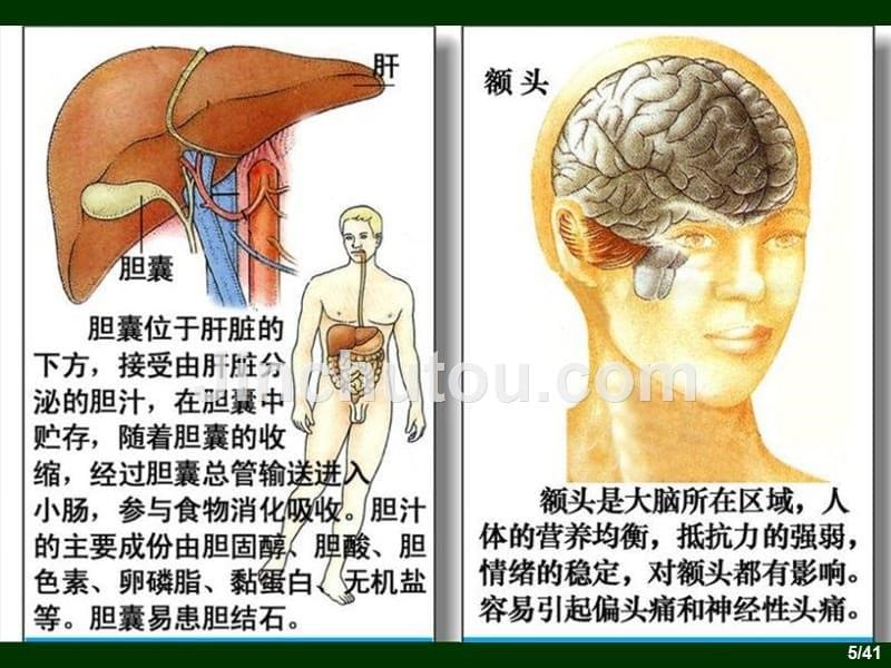 3,人体器官结构及病理浅析_第5页
