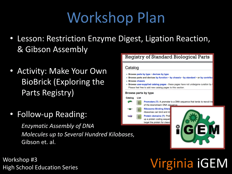 restrictionenzymedigests,ligationreactions-igem：3限制性内切酶消化，连接反应-ige_第2页