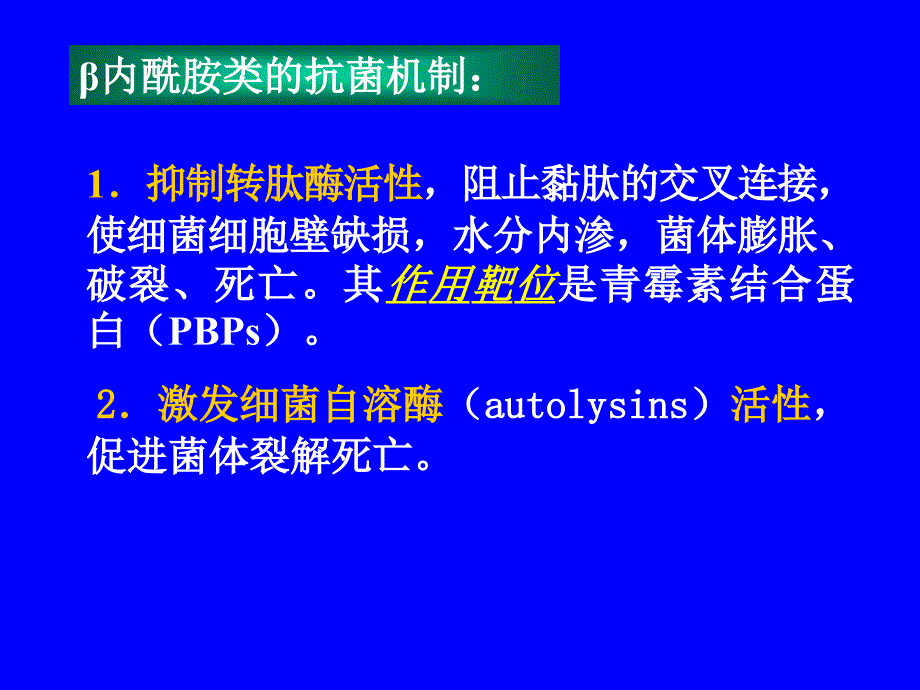 β内酰胺类的抗菌机制①产生水解酶_第2页