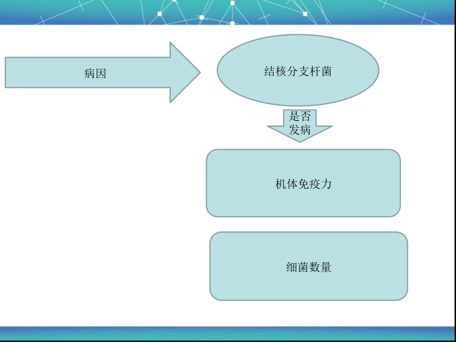 肺结核外科治疗_第3页