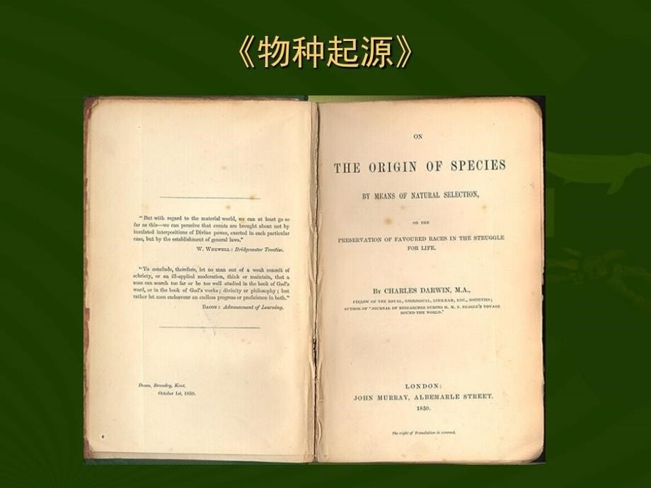 八年级下学期__ 第七单元 第三章 第三节 生物进化的原因1中学生物课件_第5页