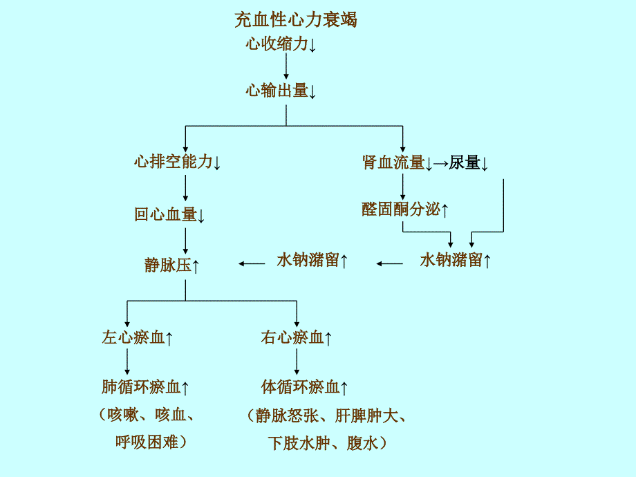 [医药]预防第二十六章 治疗充血性心力衰竭的药物_第2页