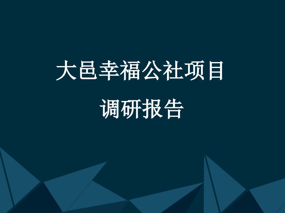 【5A版】成都大邑幸福公社项目调研_第1页