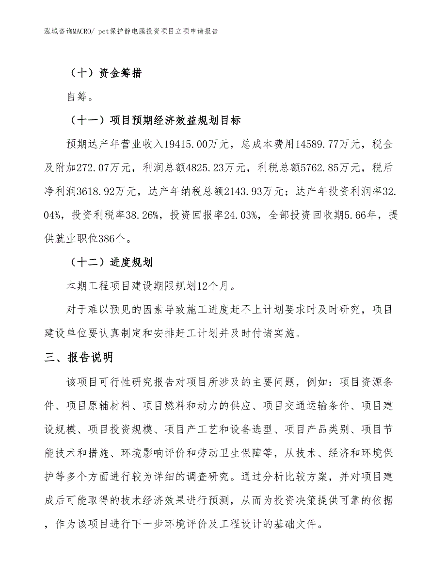 pet保护静电膜投资项目立项申请报告_第4页