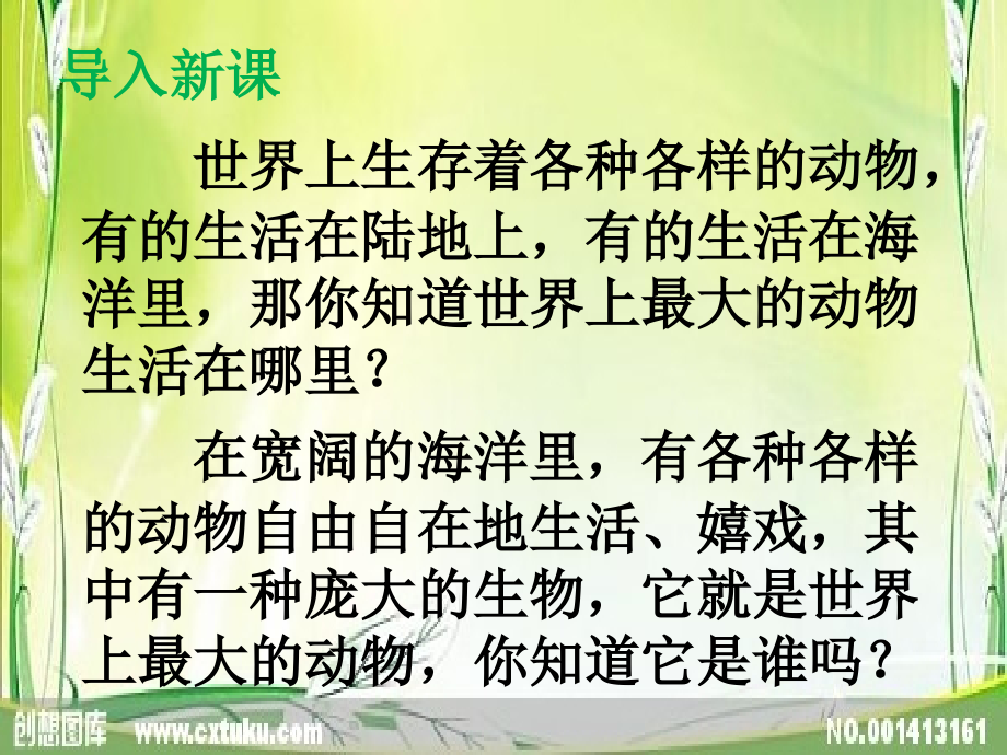 《鲸》ppt课件-新人教版小学五年级语文上册_第1页
