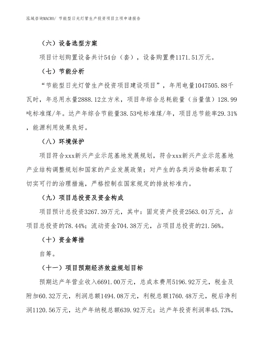 节能型日光灯管生产投资项目立项申请报告_第3页