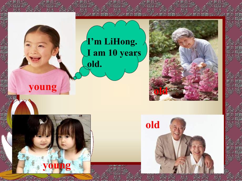 七年级英语li ming’s family课件_第2页