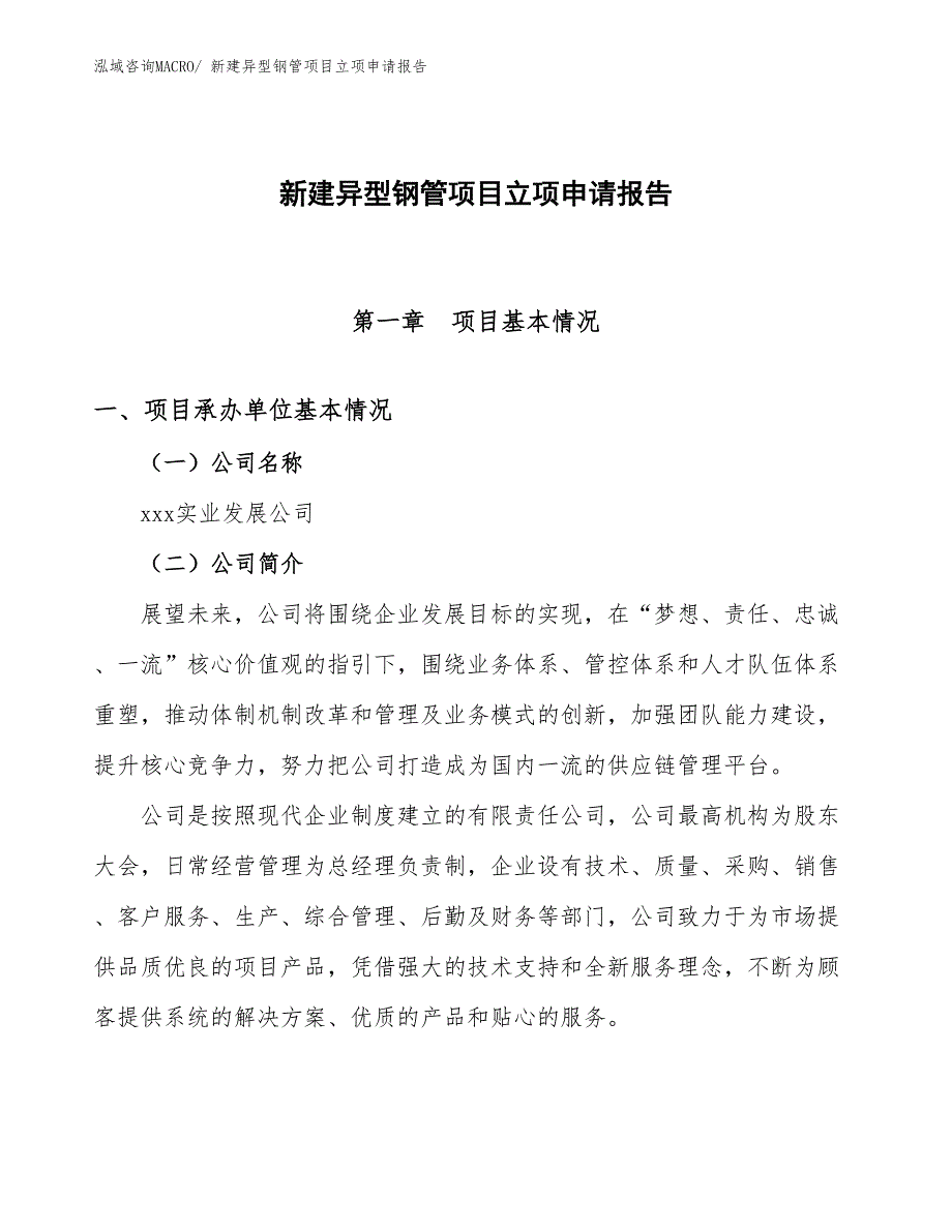 新建异型钢管项目立项申请报告_第1页