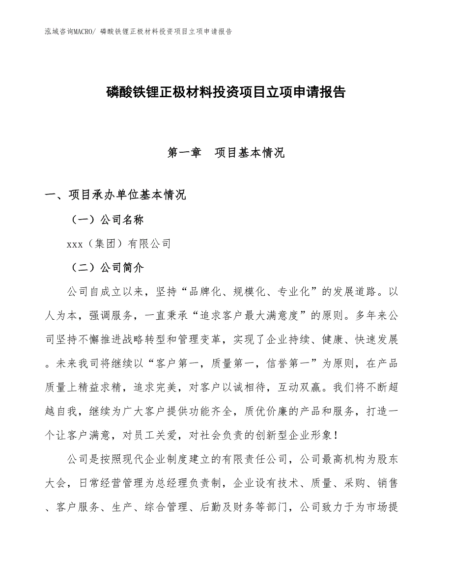 磷酸铁锂正极材料投资项目立项申请报告_第1页