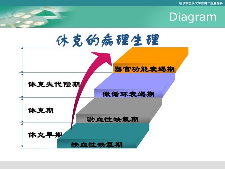 《医药卫生休克》ppt课件_第5页