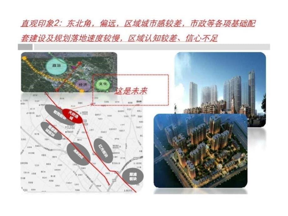 成都天府花城项目前期策划2012年_第5页