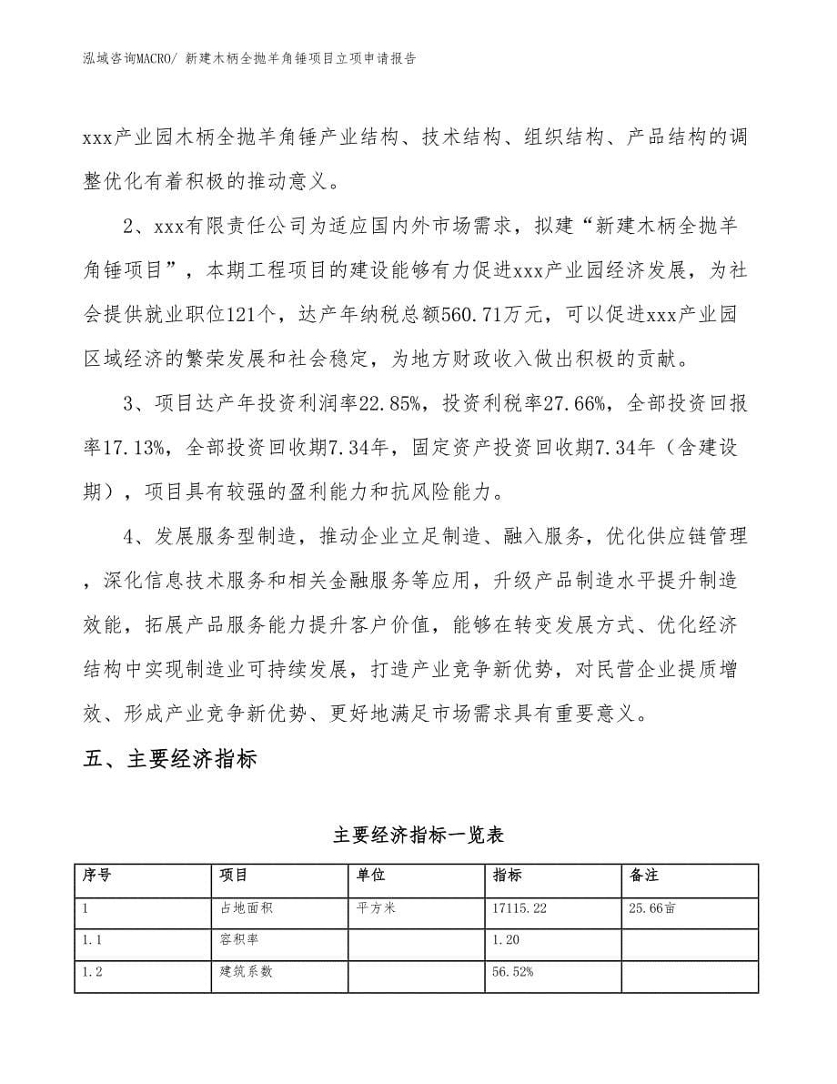 新建木柄全抛羊角锤项目立项申请报告_第5页