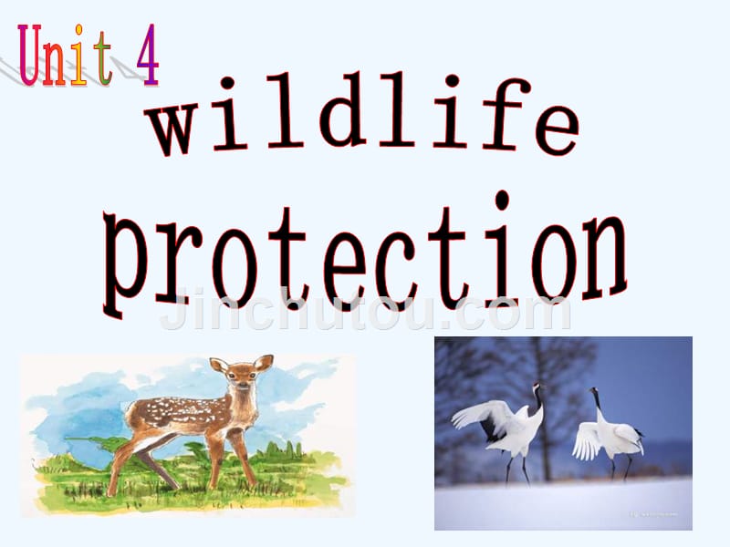 新人教版英语高一上module 2《unit 4 wildlife protection》ppt课件之三_第1页