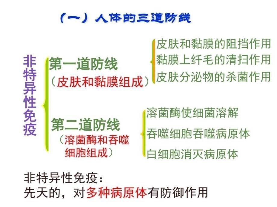 高中生物必修三 2.4免疫调节-1_第5页