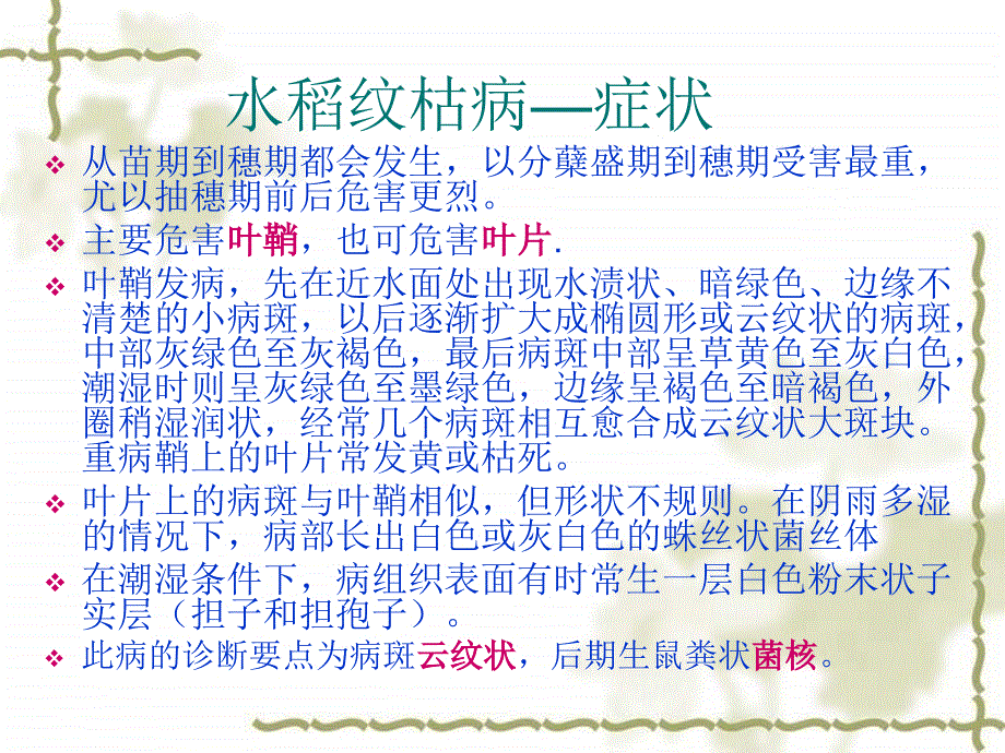 【农学课件】20 水稻纹枯病_第2页