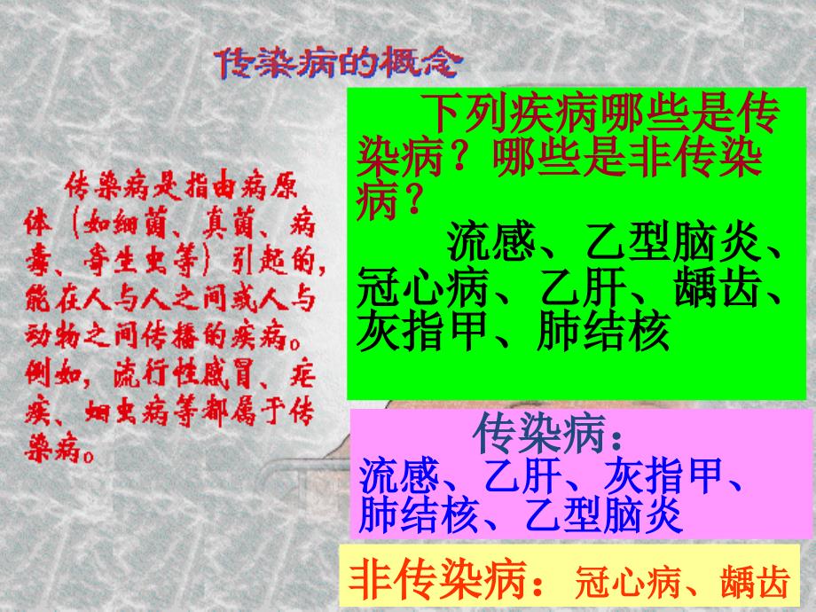 吉林省长春市第一零四中学八年级生物下册第八单元第一章传染病课件新人教版_第4页