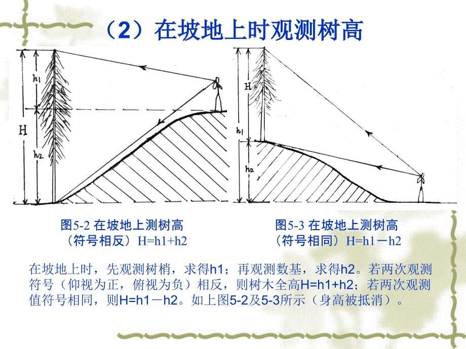 第九章、林木测量与计算_第5页