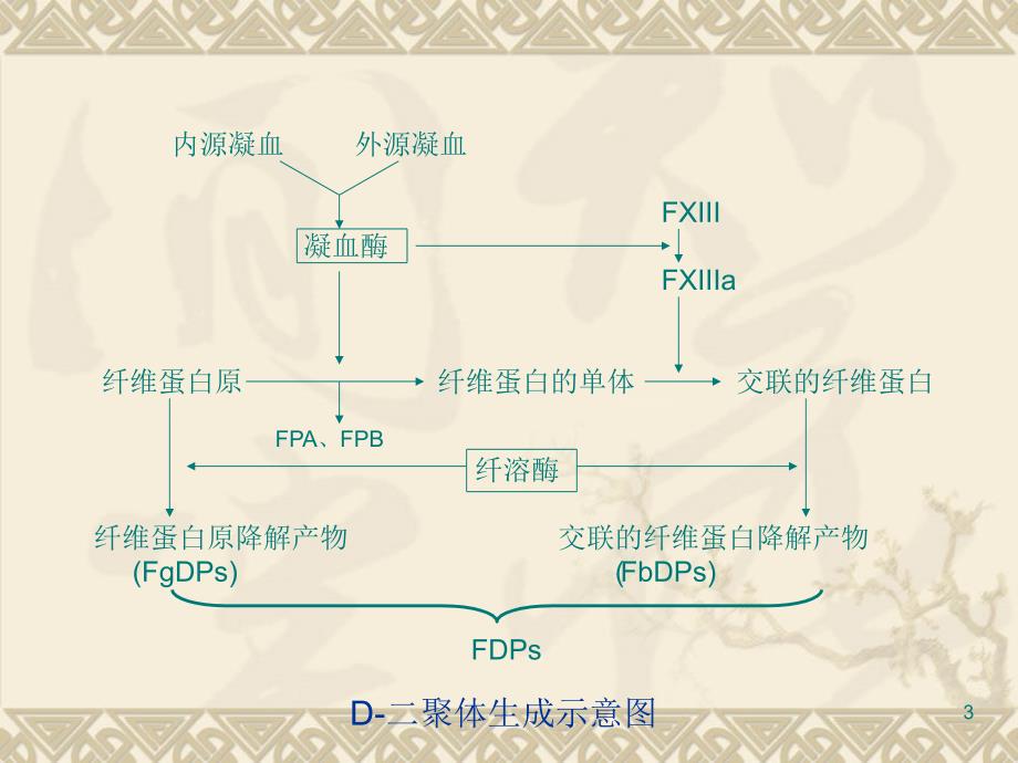 d二聚体的检测及其临床应用（ⅱ）-1_第3页